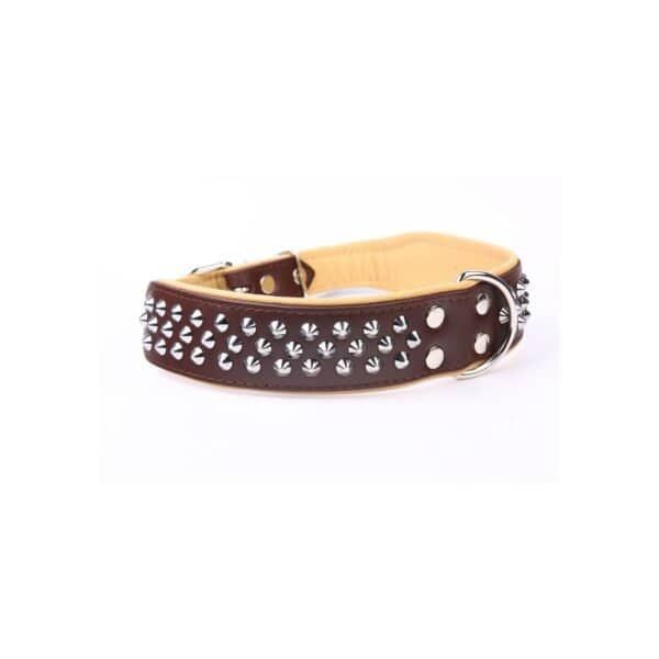 Correa de cuero con tachuelas para perros, resistente y decorativa, 75 cm de longitud.