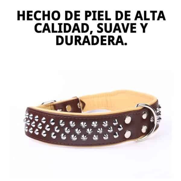 Collar de piel de alta calidad con tachuelas, ideal para mascotas con estilo y duradero.
