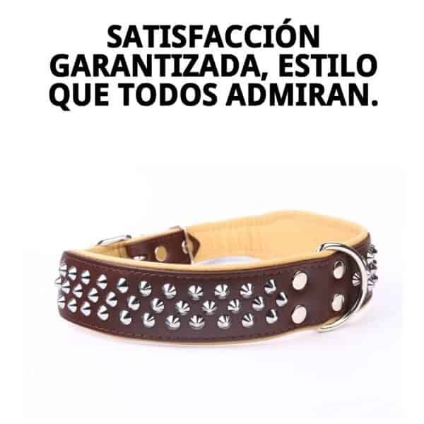 Correa de piel de lujo con tachuelas, perfecta para mascotas elegantes y resistentes.
