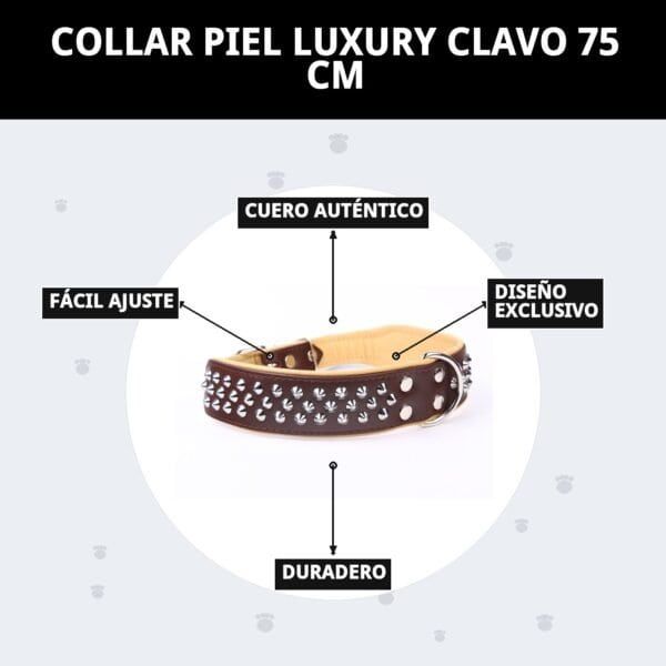 Correa de piel auténtica con clavos, ajustable y duradera, diseño exclusivo para mascotas de lujo.