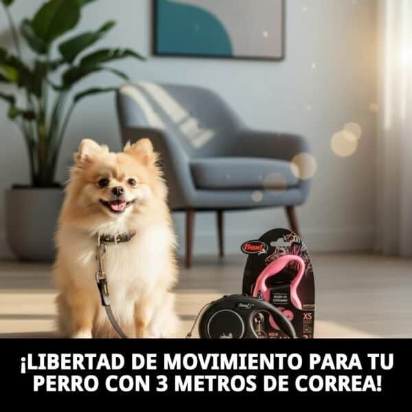 Correa extensible para perros pequeños, ligera y segura, 3 metros de movilidad cómoda.