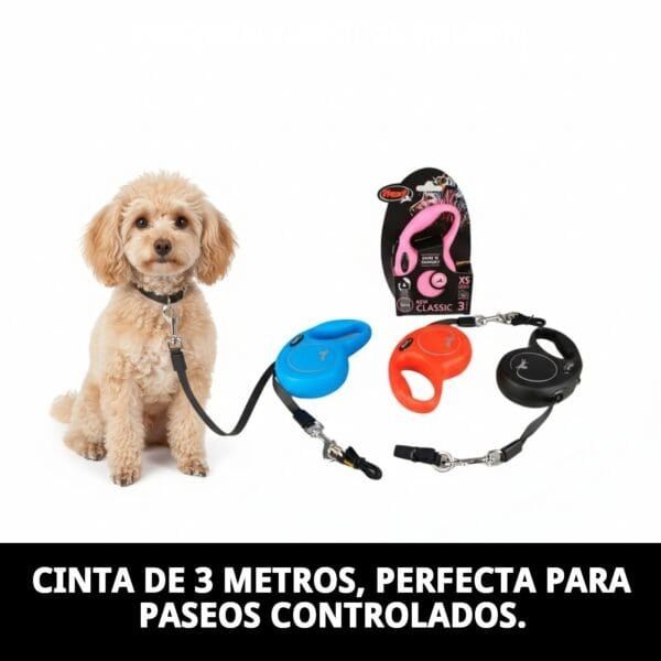 Correa extensible para perros con control y libertad. Cinta de 3 metros, ideal para paseos controlados.