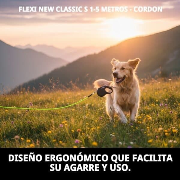 Correa extensible flexible para perros, control seguro, libertad de movimiento, cuerda de 5 metros.