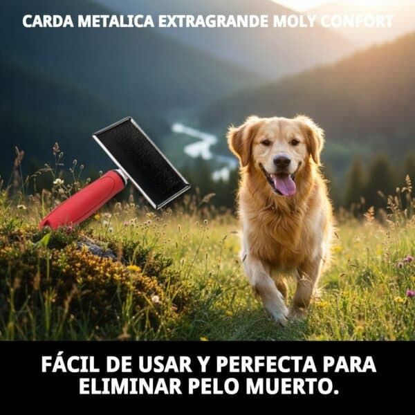 Cepillo profesional para perros con pelo largo.