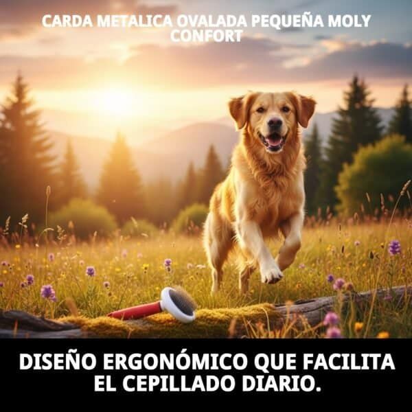 Cepillo madera ovalada para perros y gatos pequeños con diseño ergonómico, ideal para su cuidado diario.