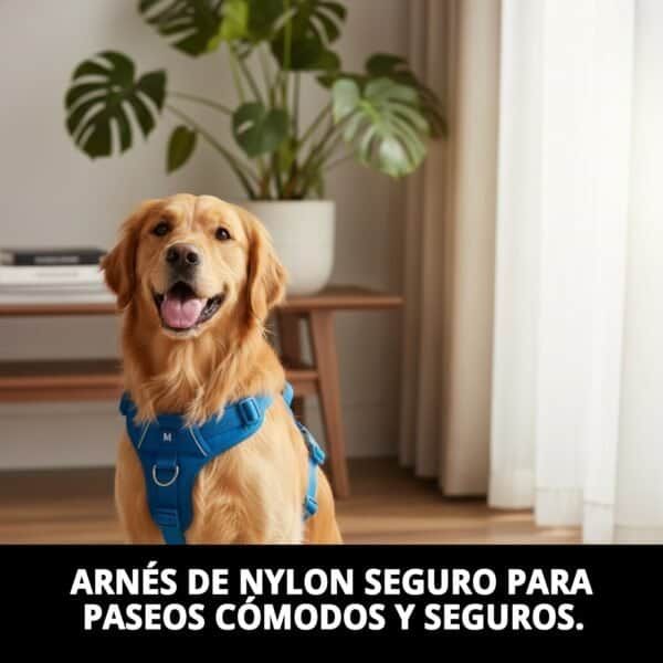 arnes nylon de seguridad y paseo m