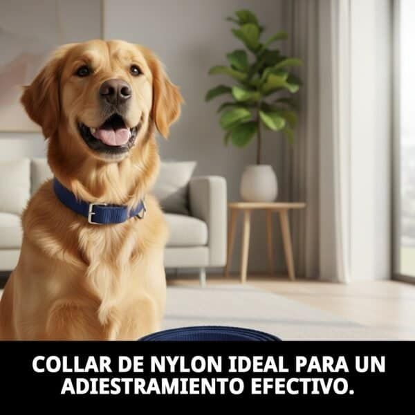 collar nylon adiestramiento 85x2.5 cm