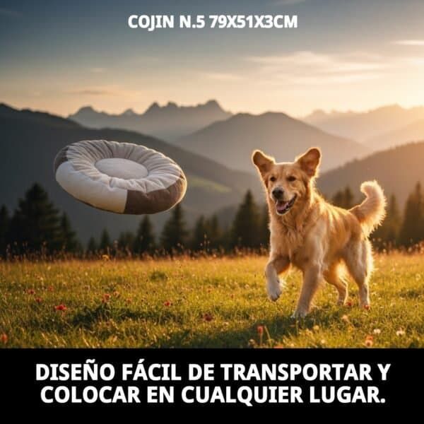 cojin n.5 79x51x3cm