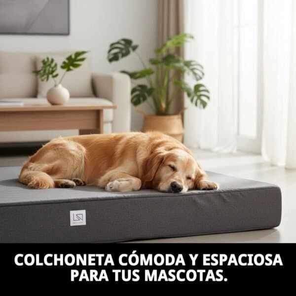 colchoneta 105 x 70 x12cm