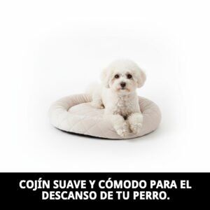 cojin perla n.2 45 x 30 x 3 cm.