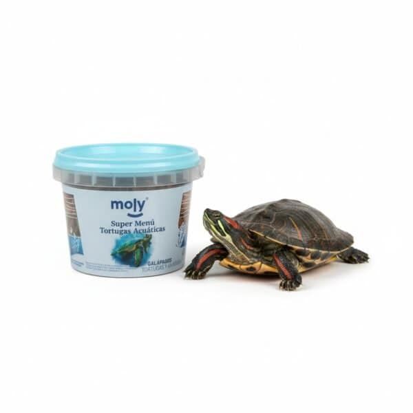 moly menu tortugas 40 gr 120 ml nutrición equilibrada