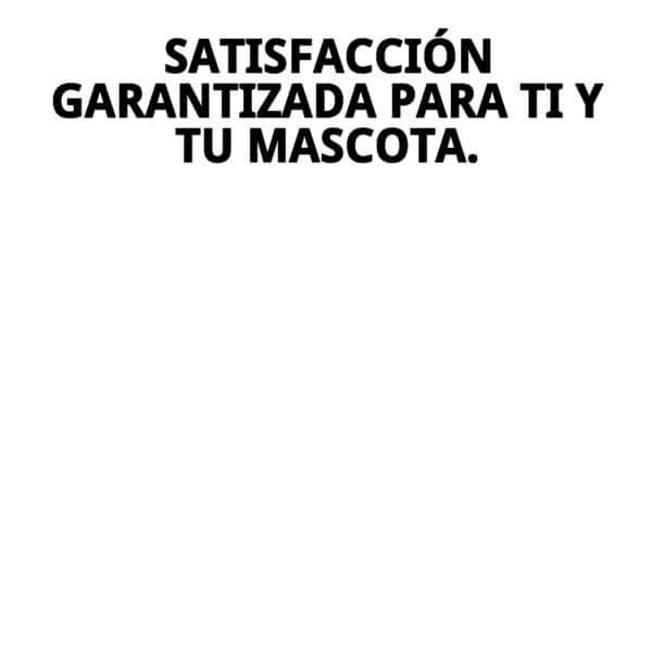 acople cinturon de seguridad 80 x 1,5cm