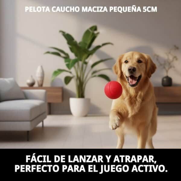pelota caucho maciza pequeÑa 5cm