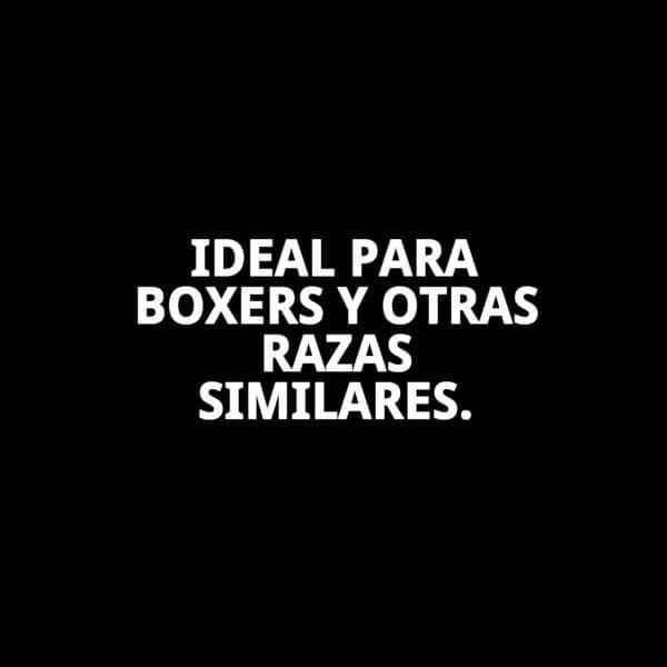 bozal de nylon para boxer n.º 8 (31,5 cm) | ajuste seguro y cómodo – moly