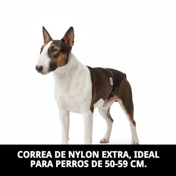 braguita slip nylon extra nº4 (50–59 cm) | ajuste cómodo y resistente para perros medianamente grandes