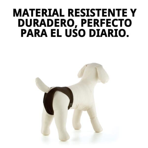 braguita slip nylon extra nº4 (50–59 cm) | ajuste cómodo y resistente para perros medianamente grandes
