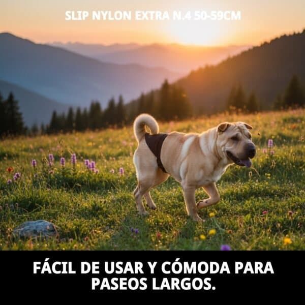 braguita slip nylon extra nº4 (50–59 cm) | ajuste cómodo y resistente para perros medianamente grandes