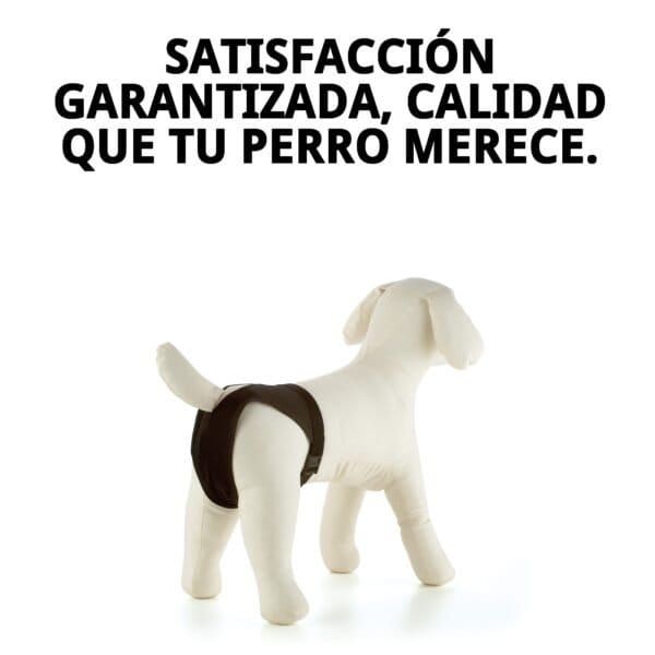 braguita slip nylon extra nº4 (50–59 cm) | ajuste cómodo y resistente para perros medianamente grandes