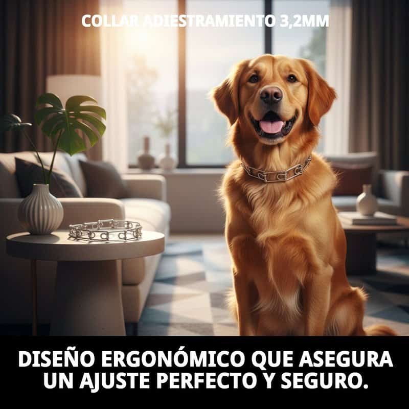 collar adiestramiento 3,2mm