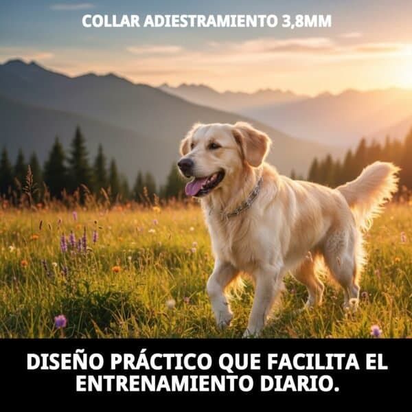 collar adiestramiento 3,8mm