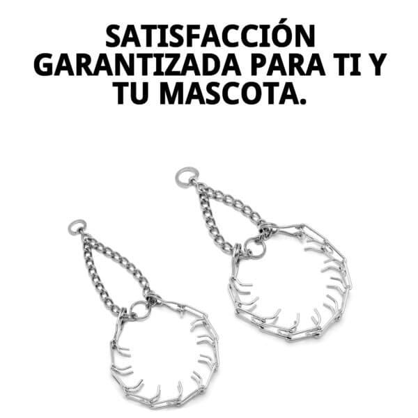 collar adiestramiento 3,8mm