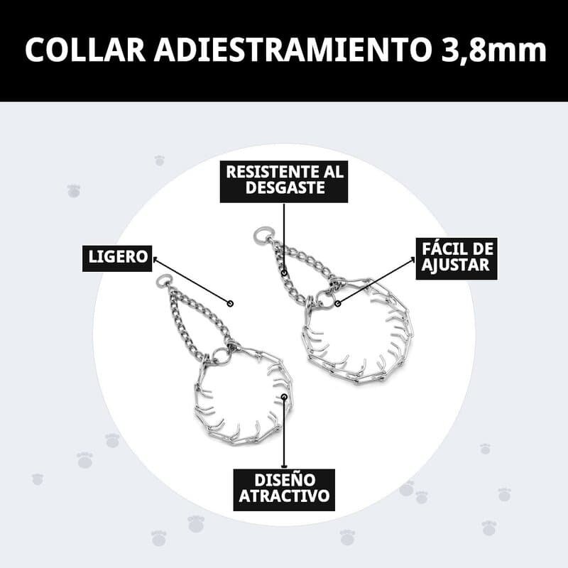 collar adiestramiento 3,8mm