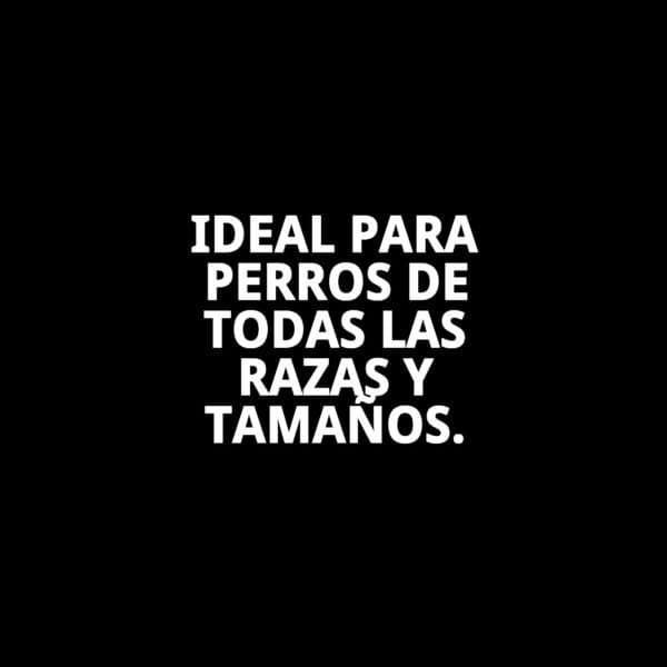 ramal omega trenzado 120cm x 2cm