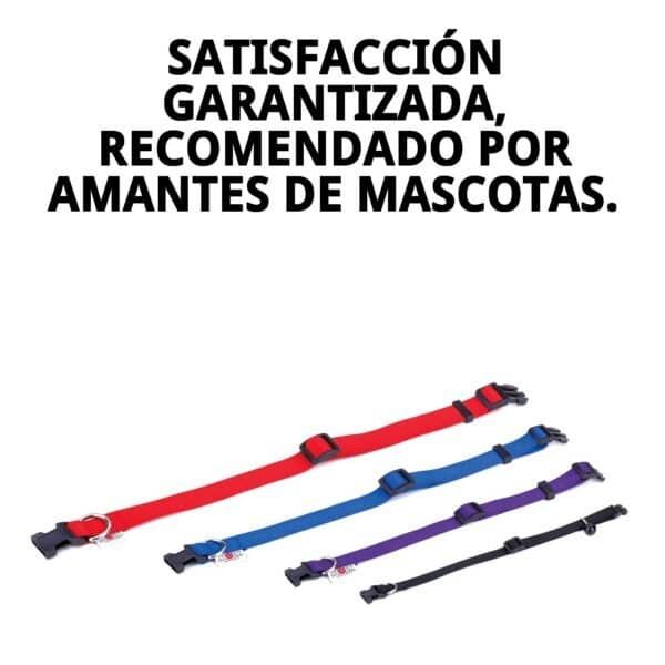 collar nylon liso 23 35 x 1cm c/ cascabel