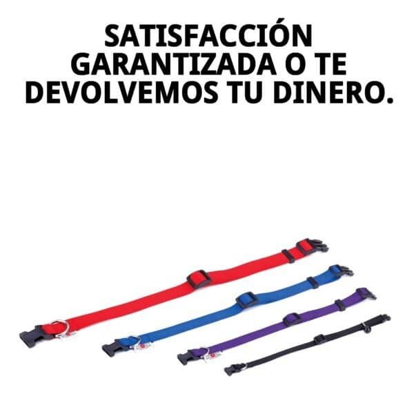 collar nylon liso 25 40cm x 1,5cm
