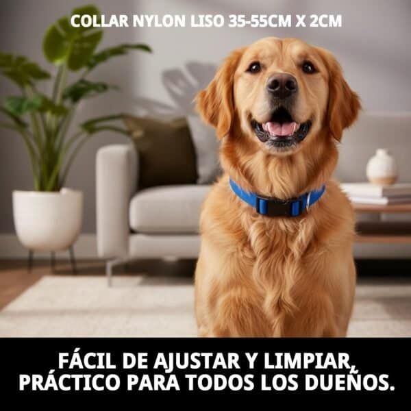 collar nylon liso 35 55cm x 2cm
