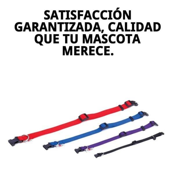 collar nylon liso 35 55cm x 2cm
