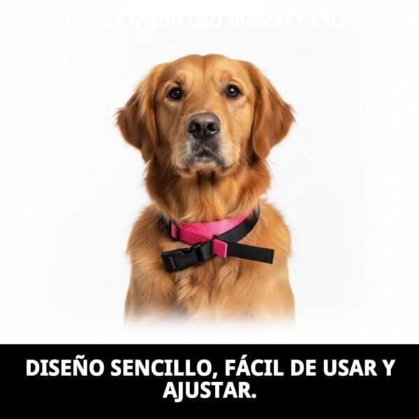 collar nylon liso 40 65cm x 2,5cm