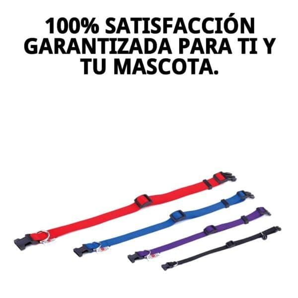 collar nylon liso 40 65cm x 2,5cm