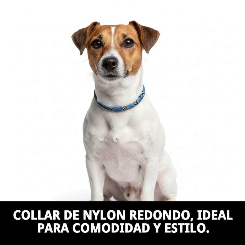 collar nylon redondo 55cm x 13mm