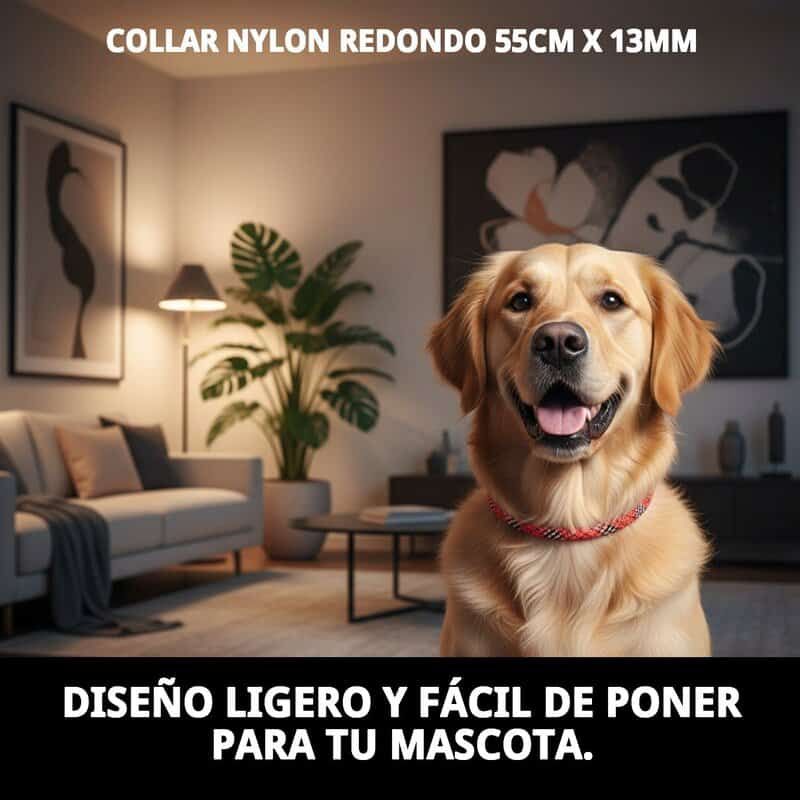 collar nylon redondo 55cm x 13mm