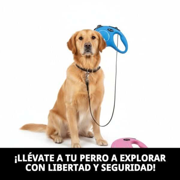 correa extensible flexi new classic m/l 5 m cordón | control y libertad para perros medianos y grandes