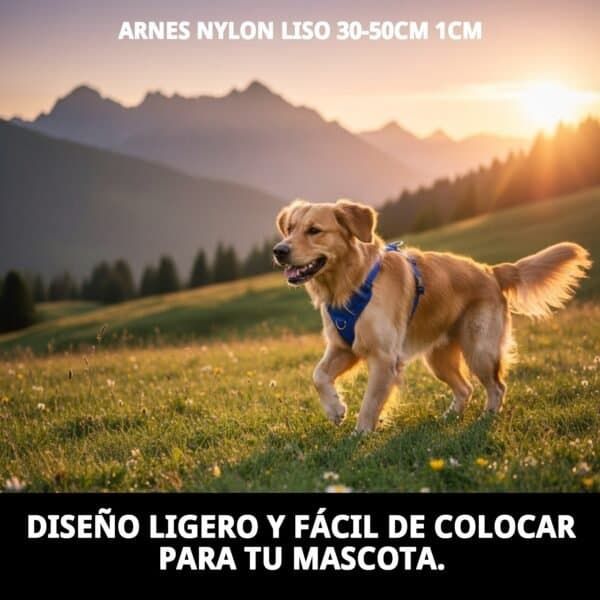 arnes nylon liso 30 50cm 1cm