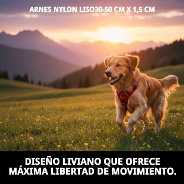 arnes nylon liso30 50 cm x 1,5 cm