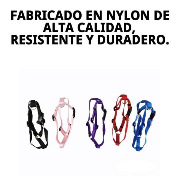 arnes nylon liso 70 90cm x 2,5cm