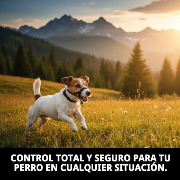 dog control n.1 24cm