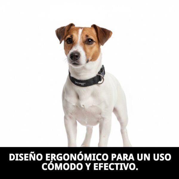 dog control n.1 24cm