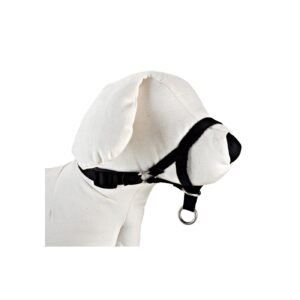 dog control n.2 28cm