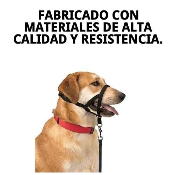 dog control n.4 38cm