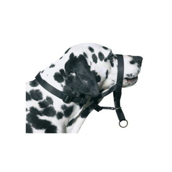 dog control n.7 boxer 54cm