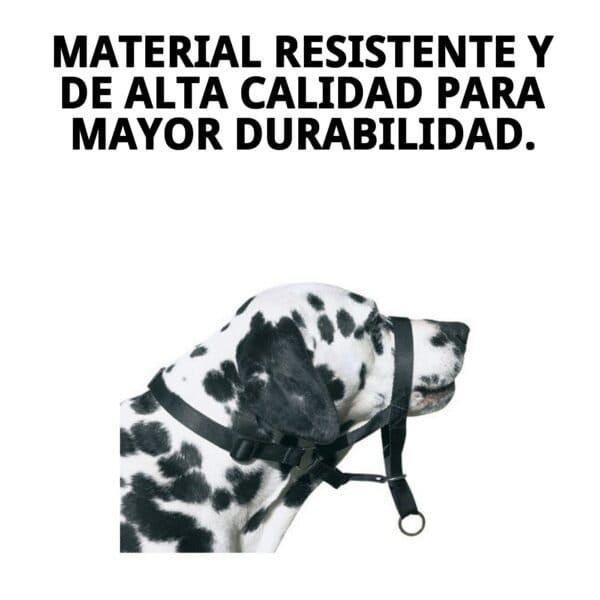 dog control n.7 boxer 54cm