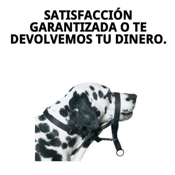 dog control n.7 boxer 54cm