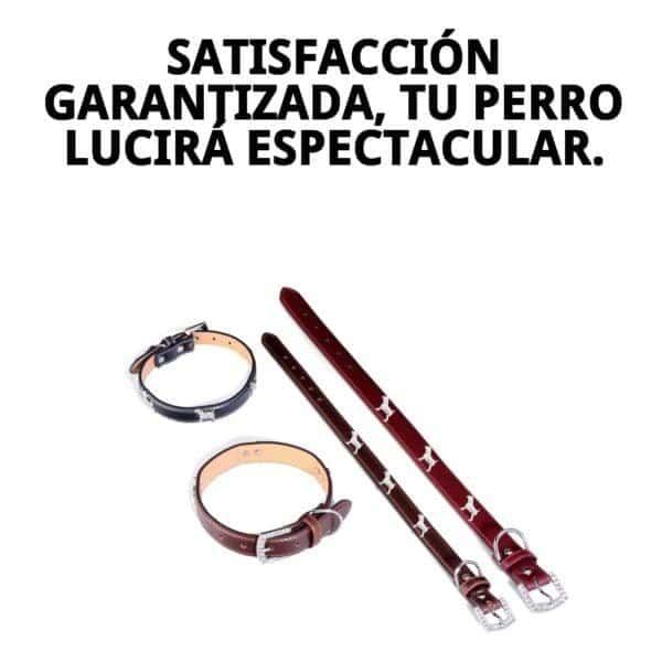 collar cuero perrito 50x2,5 cm