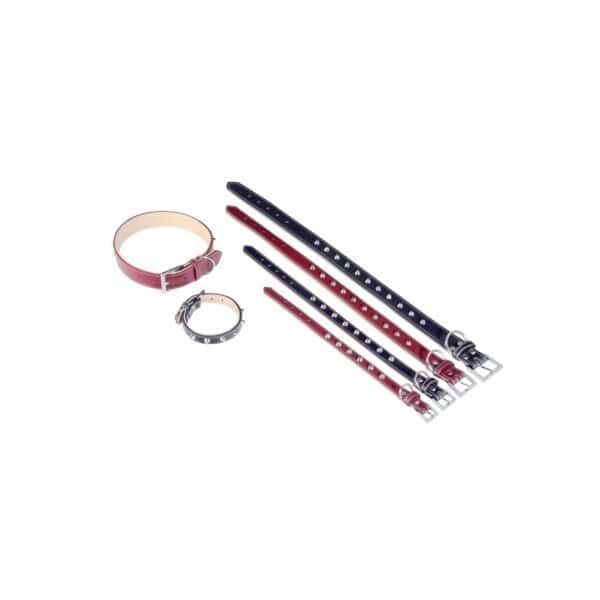 collar cuero forniture 1.5x35 cm