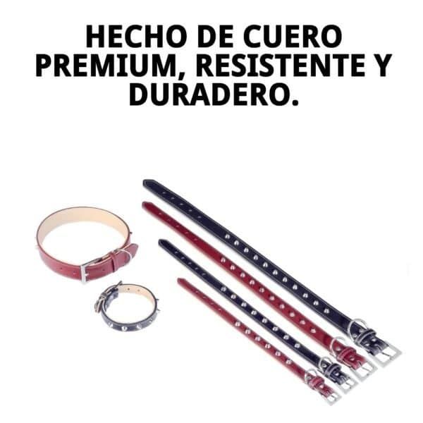 collar cuero forniture 3x60 cm