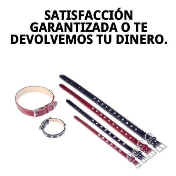 collar cuero forniture 3x60 cm